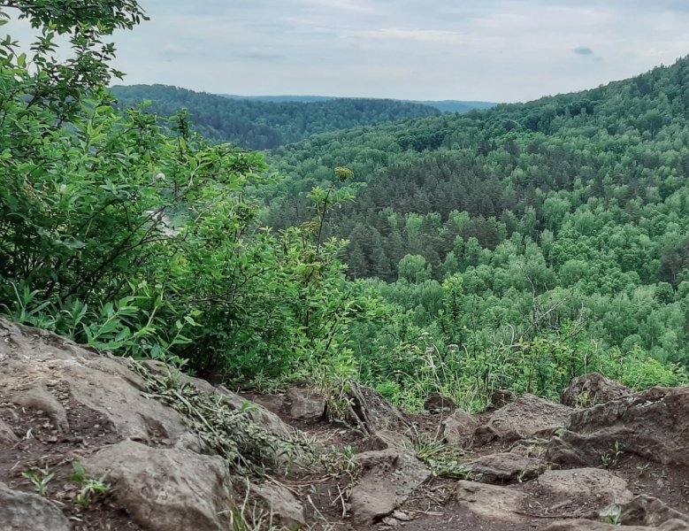 Тогучинский район горный фото