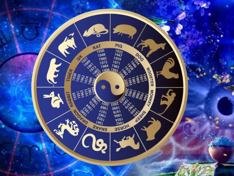 1 февраля наступает год Голубого Водяного Тигра: что принесет он представителям китайских знаков зодиака