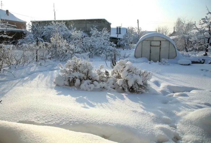 Огород Зимой Фото