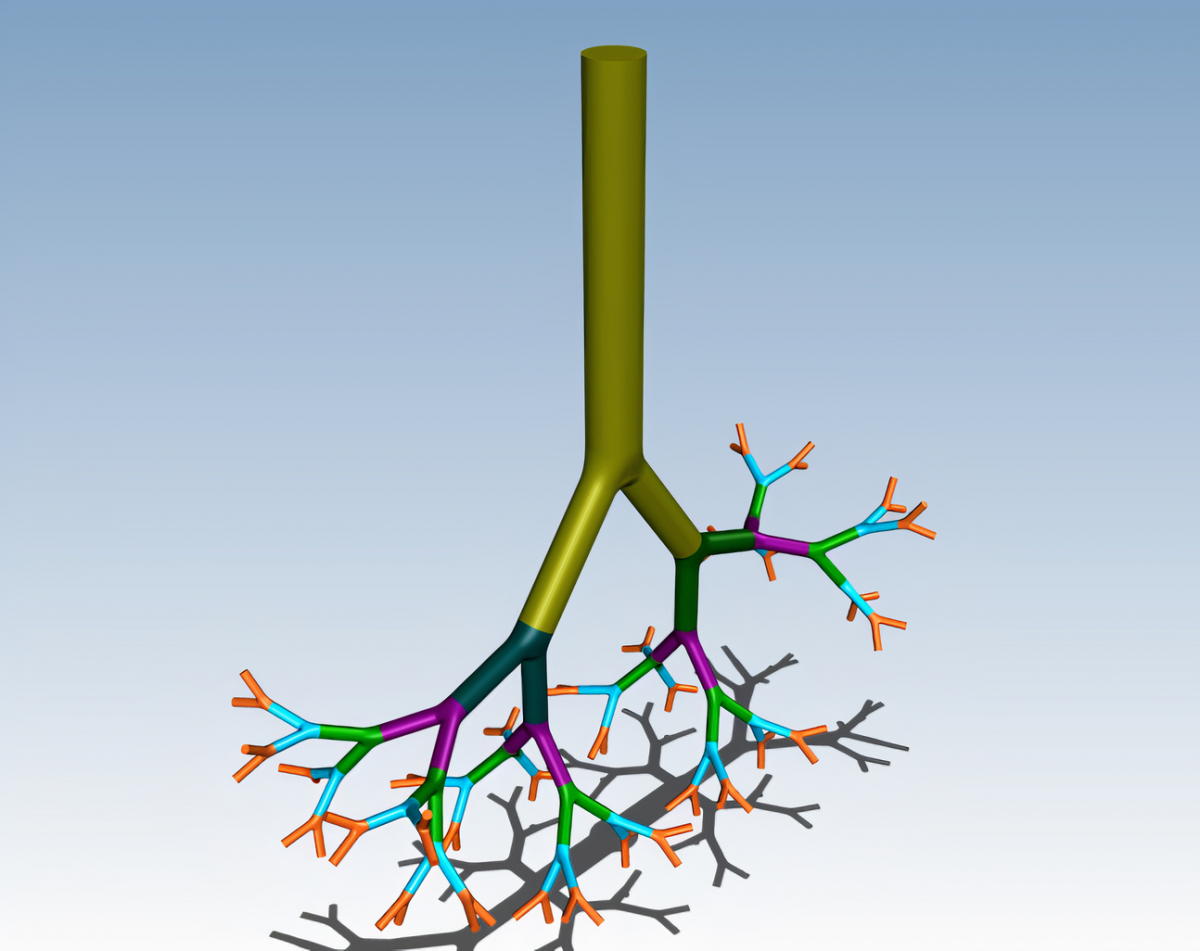 Siberian science. Бронхиальное дерево.