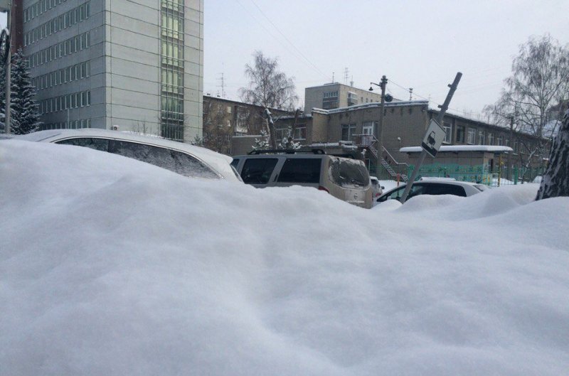 Сугробов сегодня. Снег в Новосибирске. Снегопад в Новосибирске. Новосибирск много снега. Сугробы в Новосибирске.