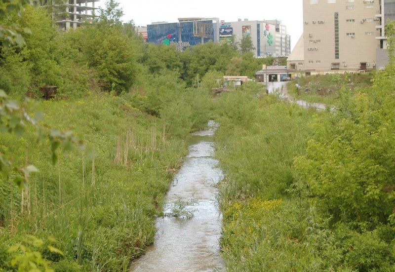 Ельцовка новосибирск. Река Ельцовка Новосибирск. Река Ельцовка 1 Новосибирск. Река нижняя Ельцовка Новосибирск. Река 2 Ельцовка Новосибирск.