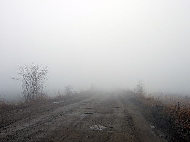 20100417_fog.jpg