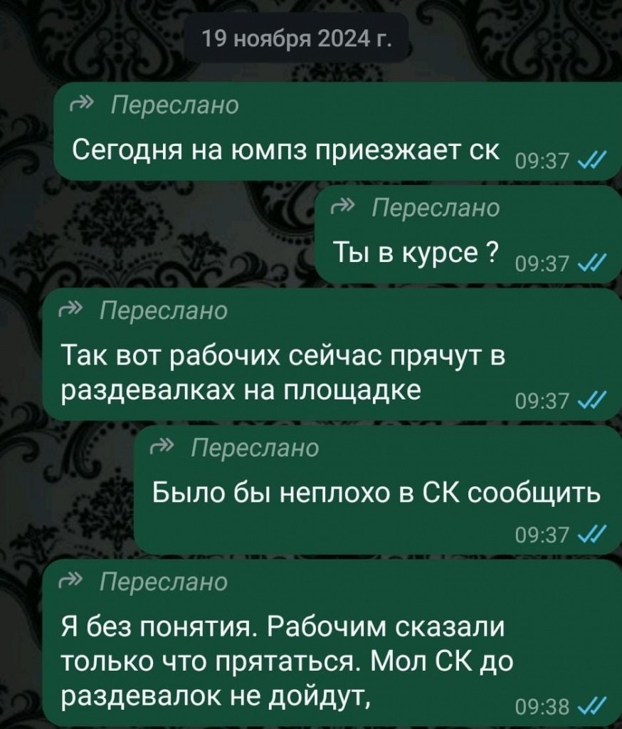 прячут.jpg