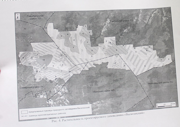 Карта васюганских болот новосибирской области