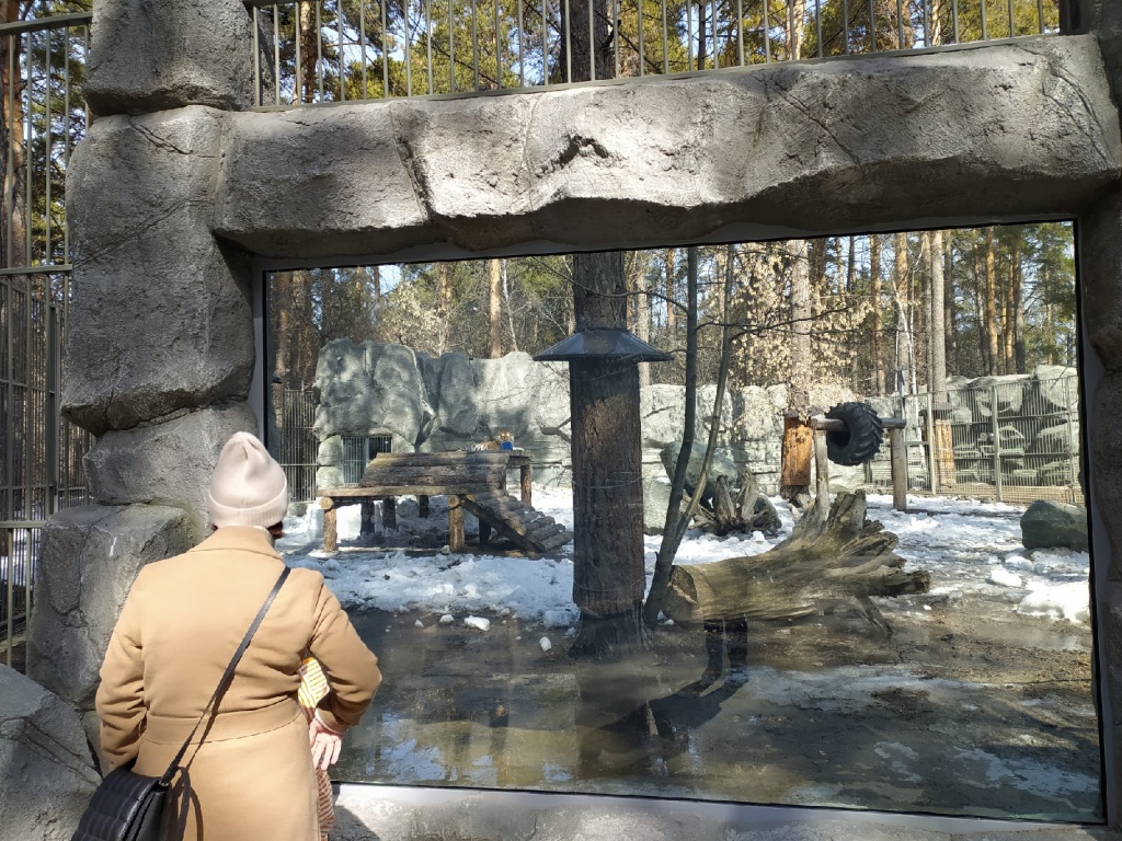 Фото В Новосибирском Зоопарке