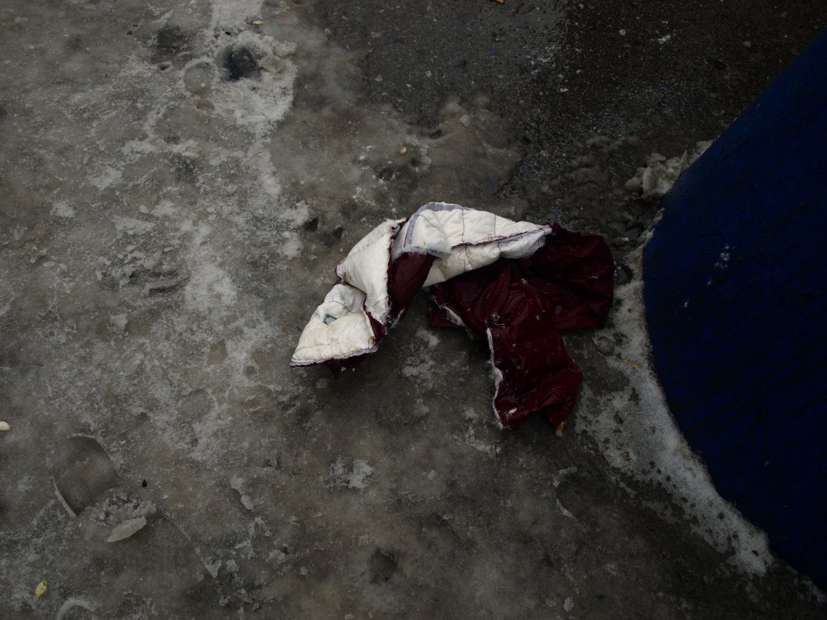 Ротвейлер напал на девочку в центре Новосибирска 