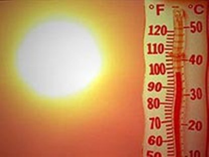 Новосибирскую область ждет аномальная жара