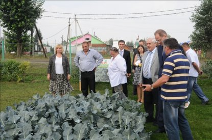 Губернатор пообещал поддержать овощеводческие хозяйства области