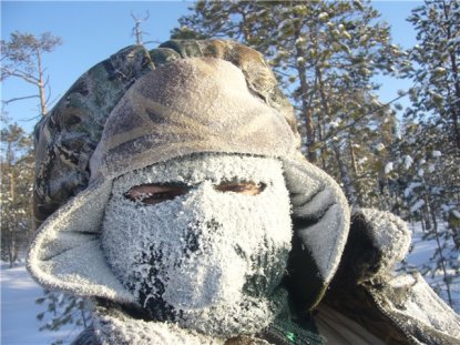 Календарная зима в Новосибирске начнется с аномальных морозов