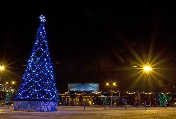 Огни главной елки города зажгли в центре Новосибирска