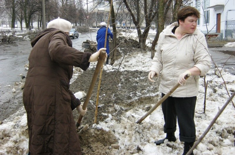 Школьников и безработных заставят убирать Новосибирск
