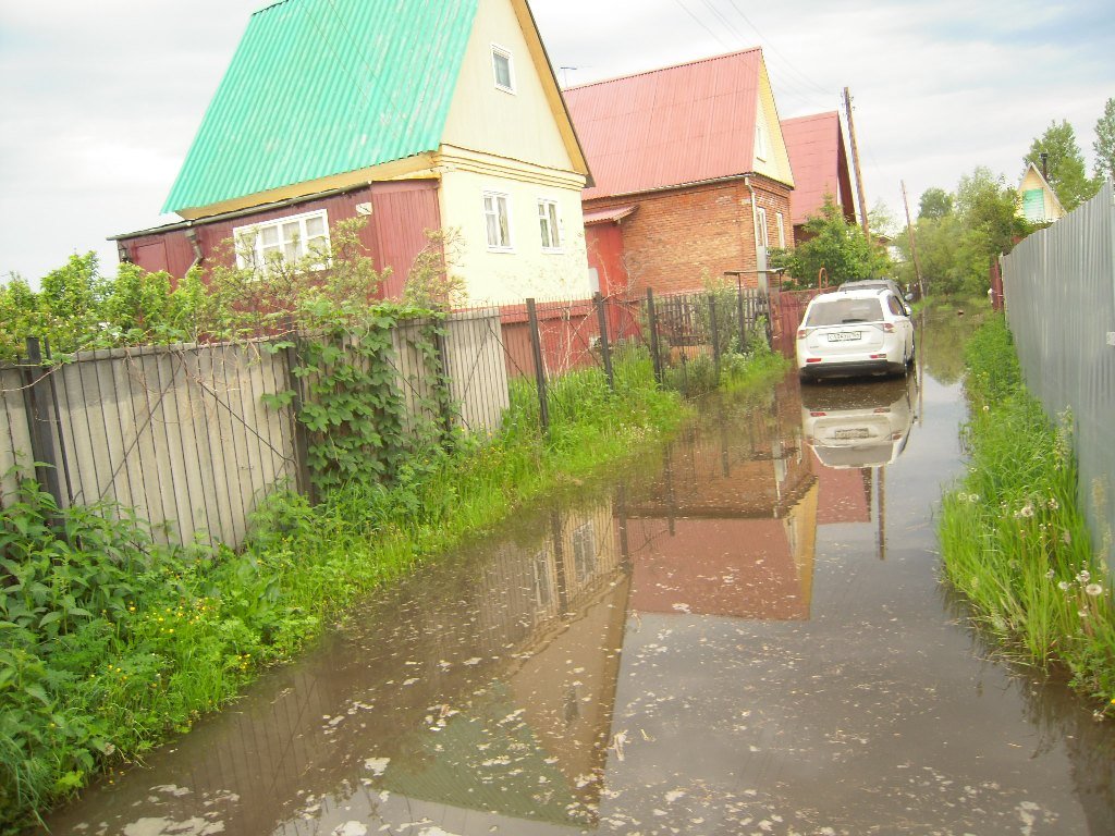 «Большая вода» начала подтапливать дачников в Новосибирске