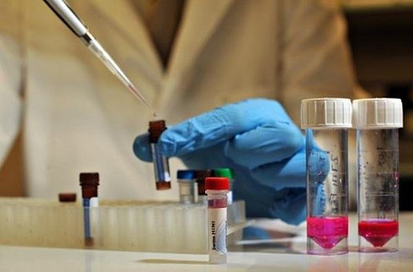 Препарат против Эболы будут тестировать в новогодние праздники