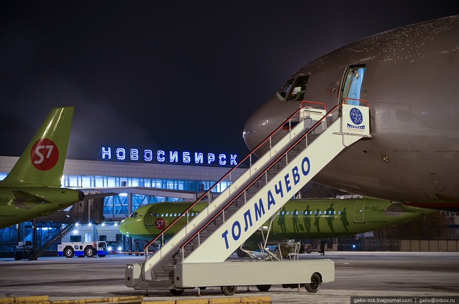 Депутат и бизнесмен ответят за посадку самолета в Новосибирске