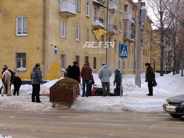 Лошадь провалилась в канализационный люк на тротуаре