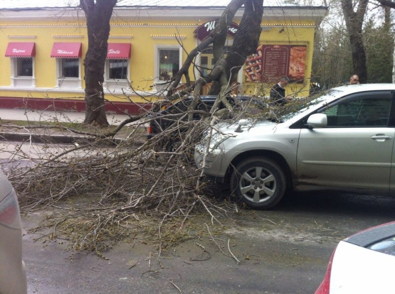 Шторм повалил деревья и сорвал крыши в Новосибирске