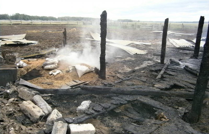 Ферму кандидата в Заксобрание сожгли в Новосибирской области
