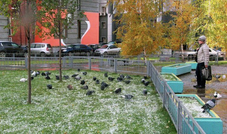 Первый снег пошел в Новосибирске