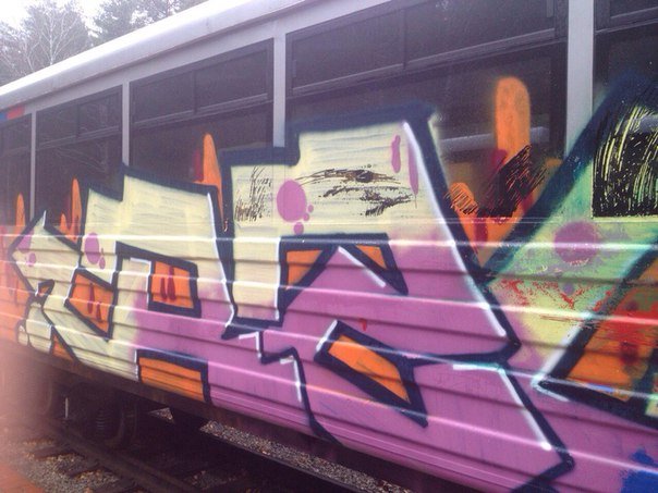 Вагоны детской железной дороги покрыли граффити