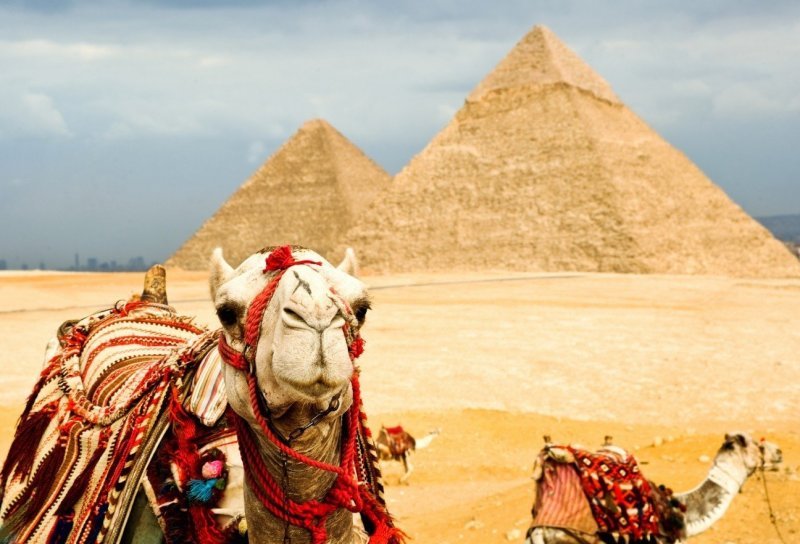 В Египте остались 400 новосибирских туристов