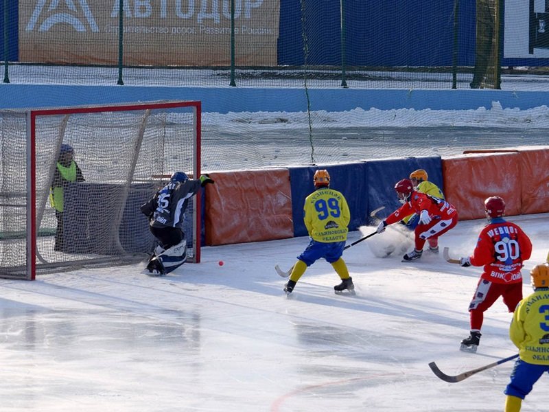 «Сибсельмаш» выиграл первый домашний матч сезона