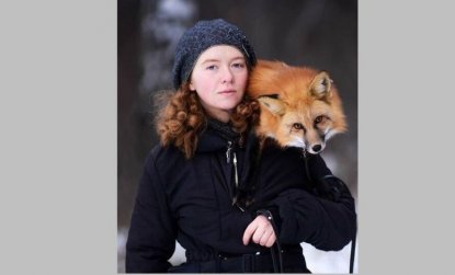 Ручная лиса потерялась в Новосибирске во время съемок фильма