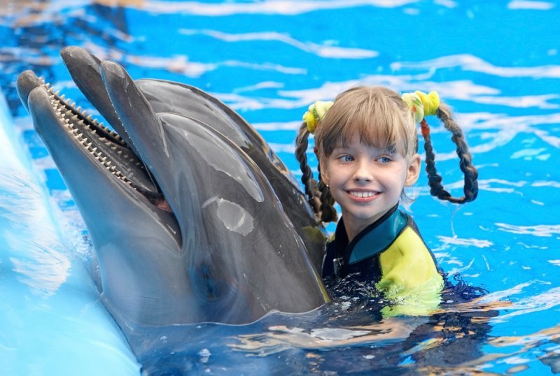 Прием заявок на дельфинотерапию начался в Новосибирске