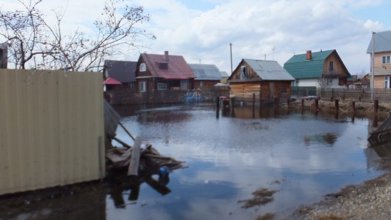 Паводок затопил садовые участки под Новосибирском