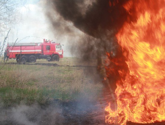 Леса загорелись в Новосибирской области