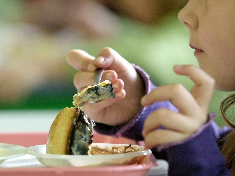 Питание в школах и детских садах объявили небезопасным