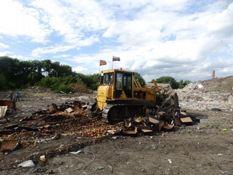 11 тонн польских яблок уничтожили в Новосибирской области