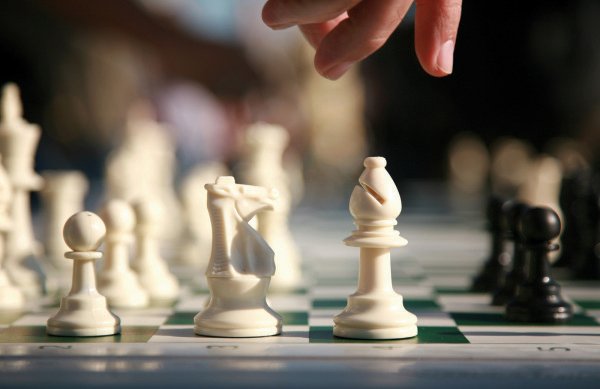 Локоть задумался о занятиях по шахматам в школах