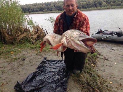 Новосибирец вытащил огромную щуку из реки