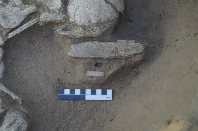 Редкий наконечник копья нашли на раскопках под Новосибирском