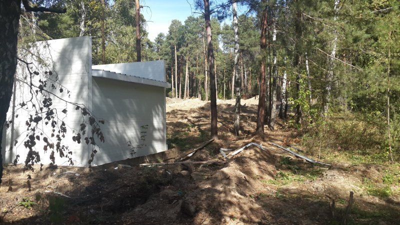 Активную вырубку деревьев обнаружили в Заельцовском бору