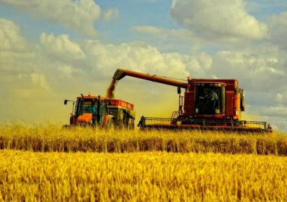 Новосибирская область заканчивает уборку урожая