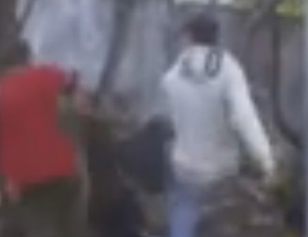 Полиция ищет авторов видео с избиением бездомного 