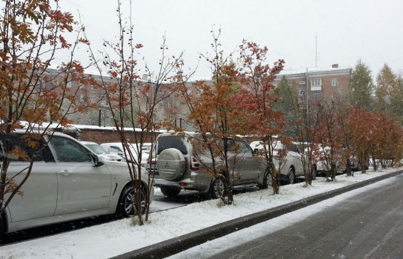 Первый снег устроил транспортный коллапс в Новосибирске