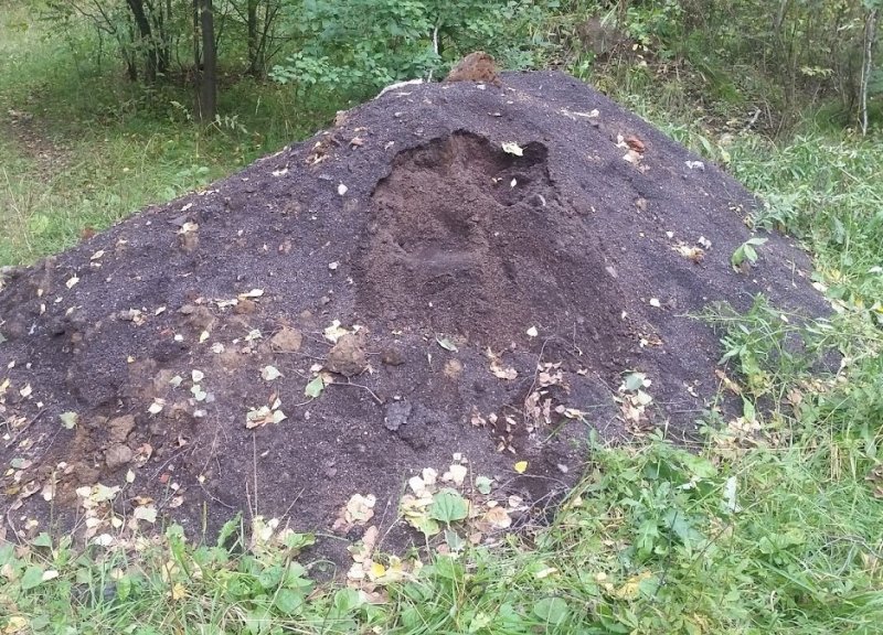 Опасный мышьяк нашли в земле на стройке у Бугринской рощи