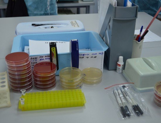 Новосибирские ученые создали наноаэрозоль против туберкулеза