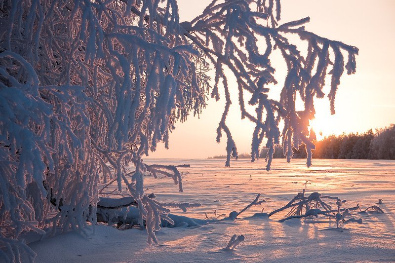 Мороз бьет рекорды в Новосибирской области