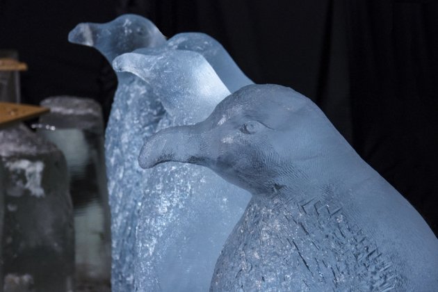 Новогодний городок превратят в лес с пингвинами и дельфинами