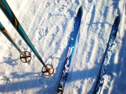 Физрук получил выговор за историю с потерявшим лыжи учеником