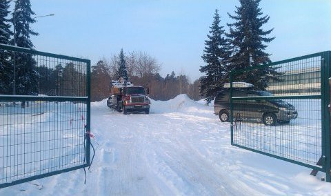 Застройщик готовится рубить ели на Богдашке