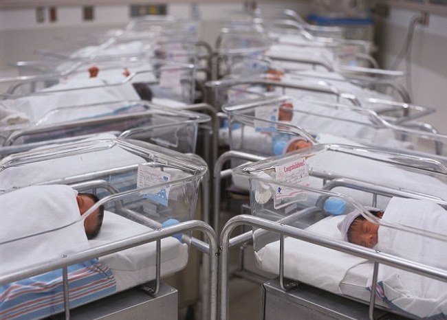 Рождаемость упала в Новосибирской области