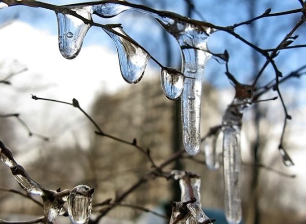 Похолодание придет в Новосибирскую область в марте