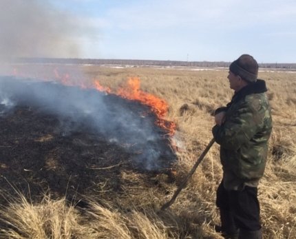 Сезон лесных пожаров начался в Новосибирской области