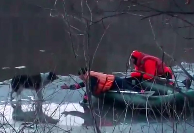 Спасатели сняли со льдины испуганного и продрогшего пса
