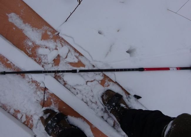 Полицейские три часа преследовали вора на лыжах